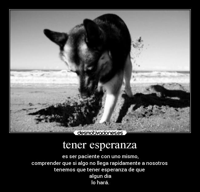 tener esperanza - es ser paciente con uno mismo,
comprender que si algo no llega rapidamente a nosotros
tenemos que tener esperanza de que
algun dia
lo hará.