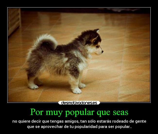 Por muy popular que seas - no quiere decir que tengas amigos, tan sólo estarás rodeado de gente
que se aprovechar de tu popularidad para ser popular..