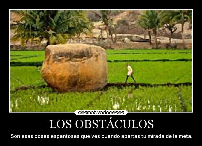 carteles obstaculos madurar desmotivaciones