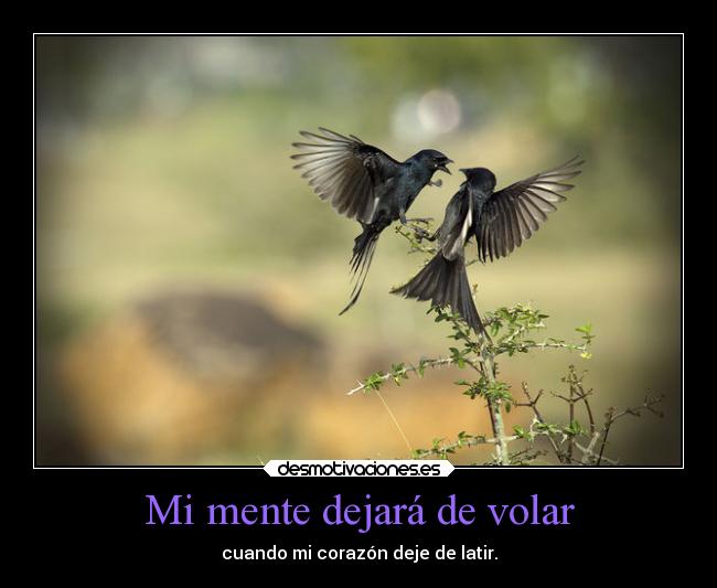 Mi mente dejará de volar -