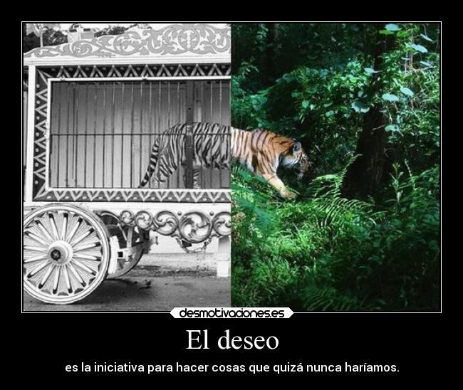 El deseo - es la iniciativa para hacer cosas que quizá nunca haríamos.