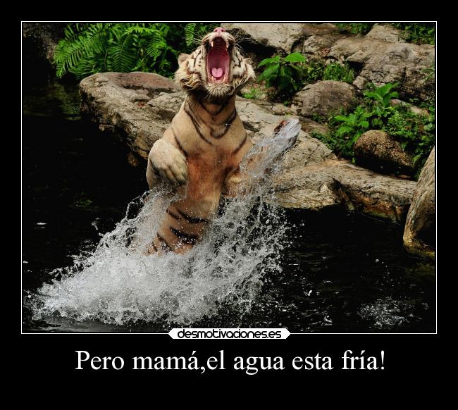 Pero mamá,el agua esta fría! -