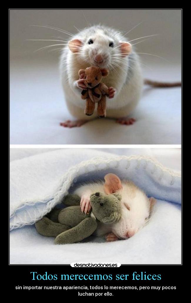 carteles hermoso animal desmotivaciones