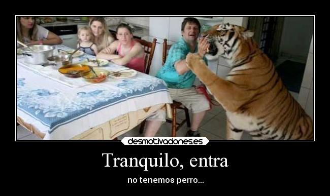 Tranquilo, entra - no tenemos perro...