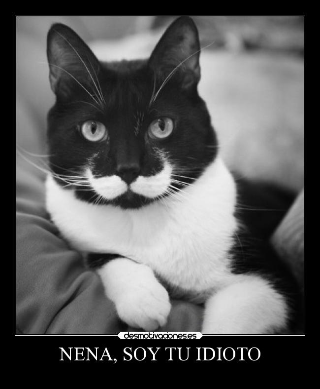 NENA, SOY TU IDIOTO - 
