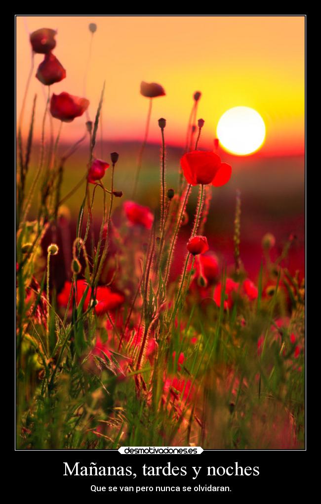 Mañanas, tardes y noches - Que se van pero nunca se olvidaran.