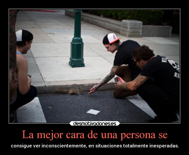 carteles amigos amistad animales ayuda debilidad desmotivaciones familia desmotivaciones