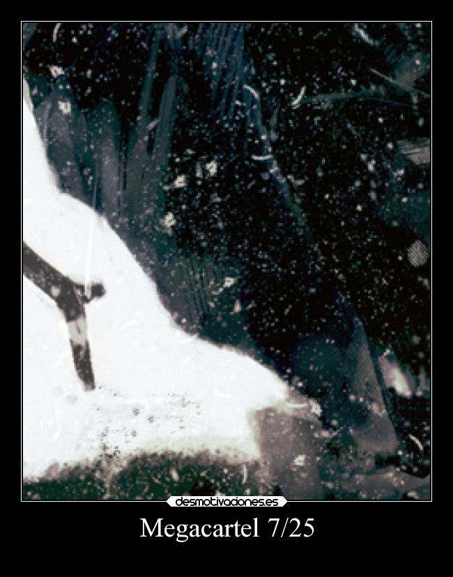 Megacartel 7/25 -