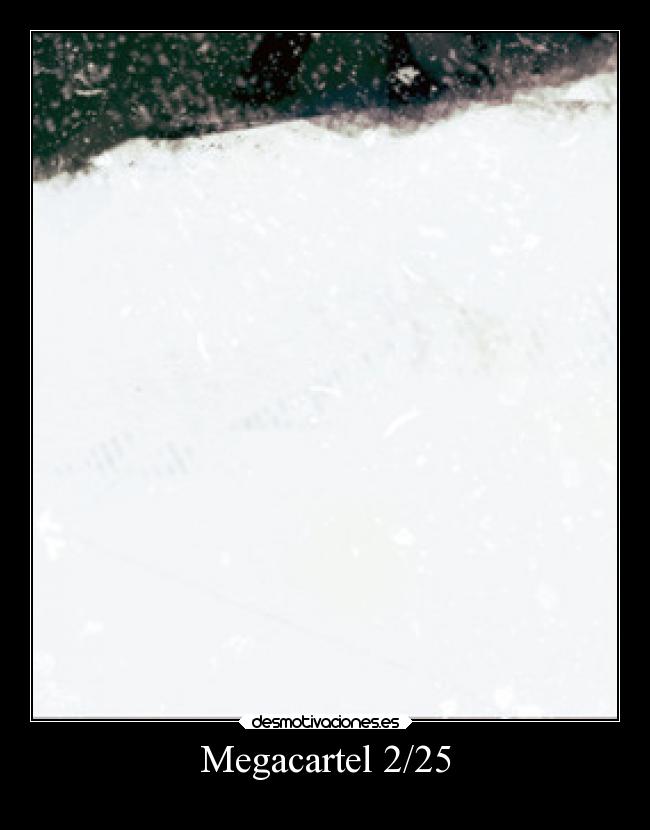 Megacartel 2/25 -