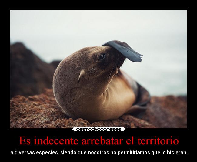 Es indecente arrebatar el territorio - a diversas especies, siendo que nosotros no permitiríamos que lo hicieran.