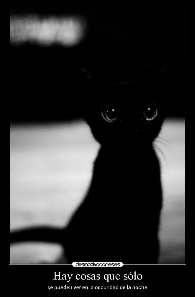 Hay cosas que sólo - se pueden ver en la oscuridad de la noche.