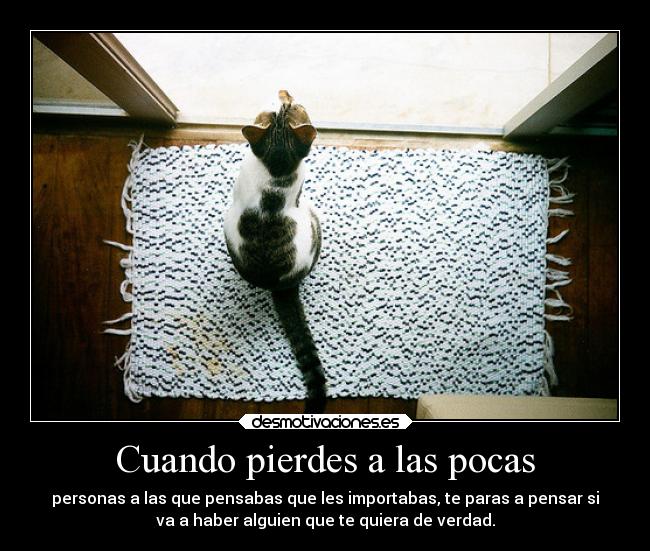Cuando pierdes a las pocas - personas a las que pensabas que les importabas, te paras a pensar si
va a haber alguien que te quiera de verdad.