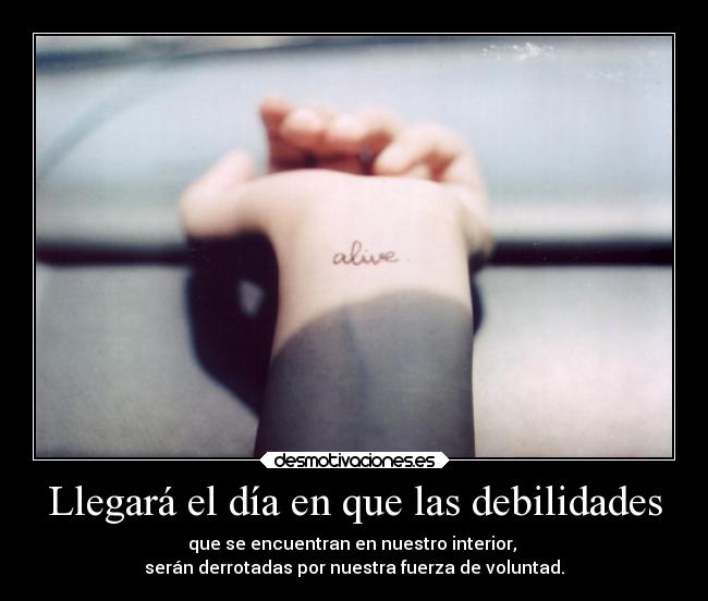 carteles aburro poner etiquetas originales desmotivaciones