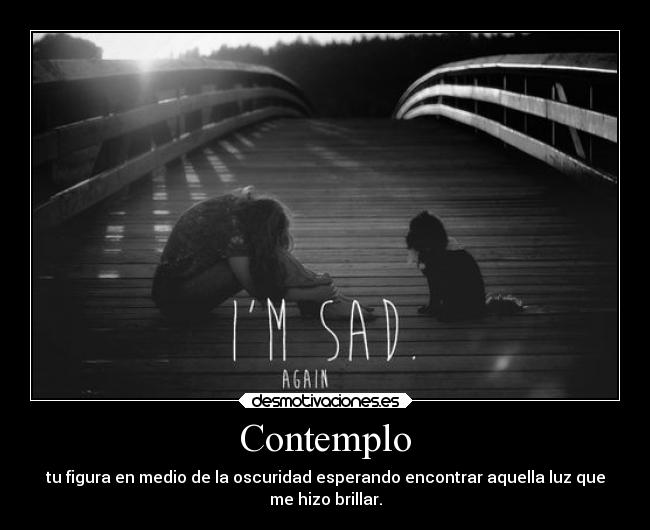 Contemplo - 