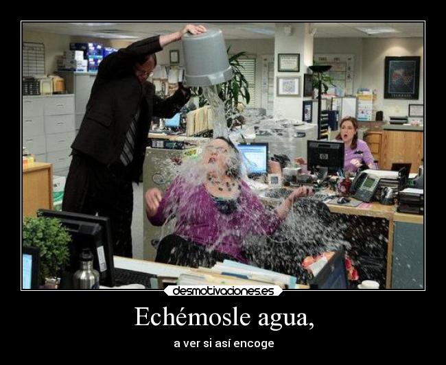 Echémosle agua, - a ver si así encoge