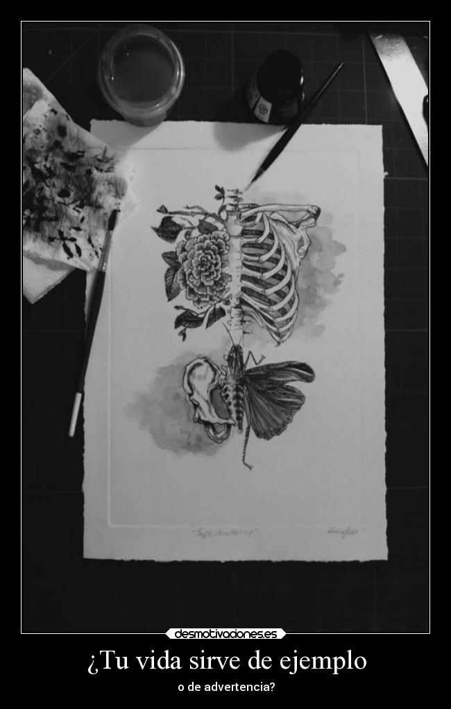 carteles vida vida ejemplo mundo valores riqueza pobreza racismo ignorancia jim rohn desmotivaciones