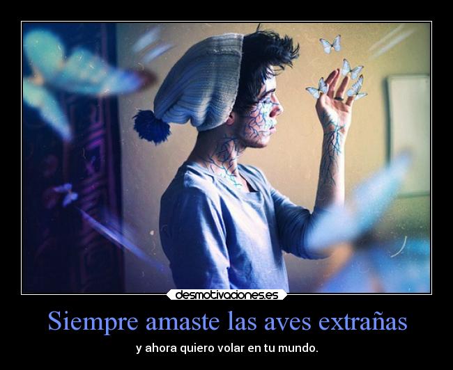 Siempre amaste las aves extrañas - 