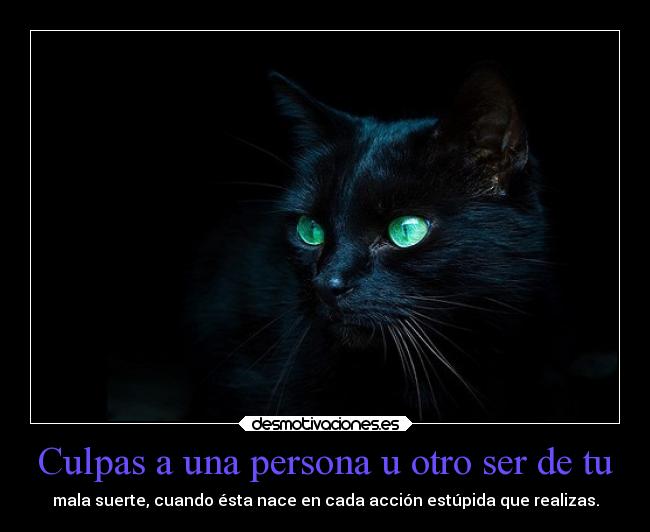 Culpas a una persona u otro ser de tu - 