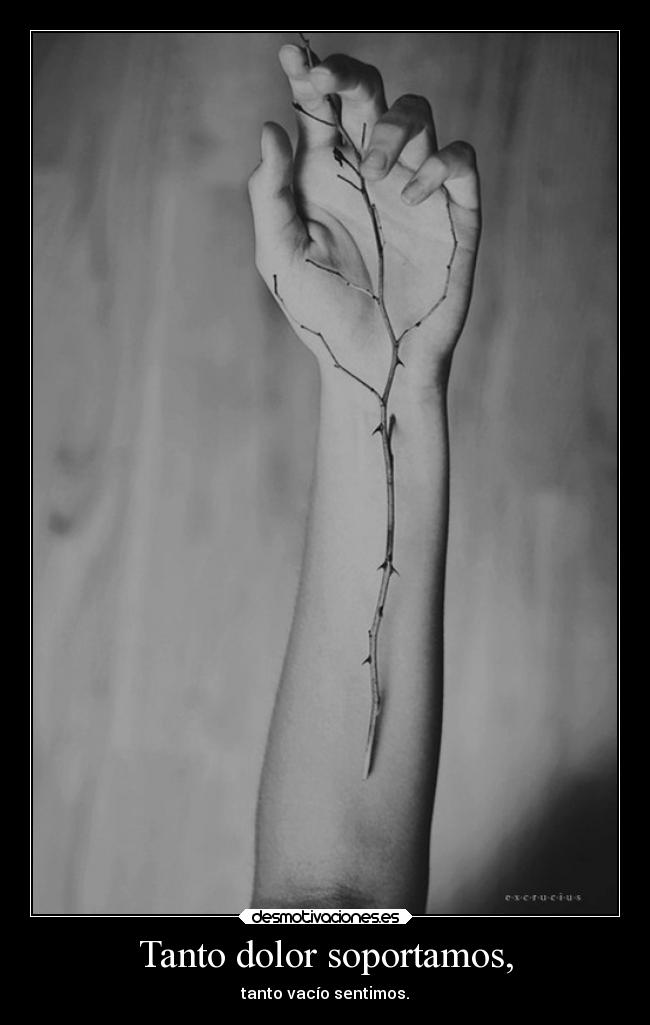 carteles dolor feel pain soportar blackandwhite espinas itai dolor desmotivaciones
