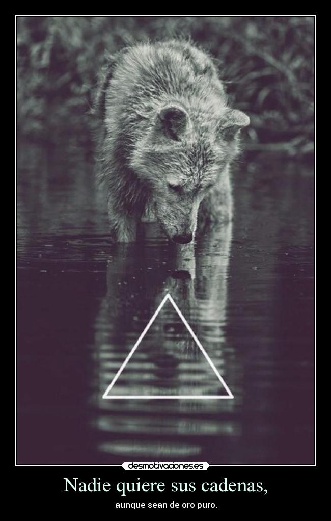 Nadie quiere sus cadenas, - aunque sean de oro puro.