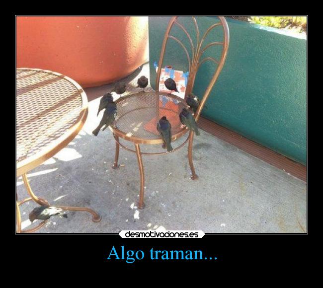 Algo traman... -