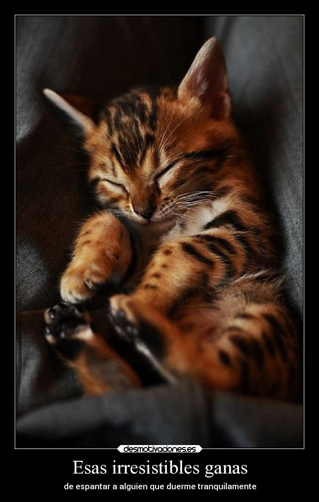 Esas irresistibles ganas - de espantar a alguien que duerme tranquilamente