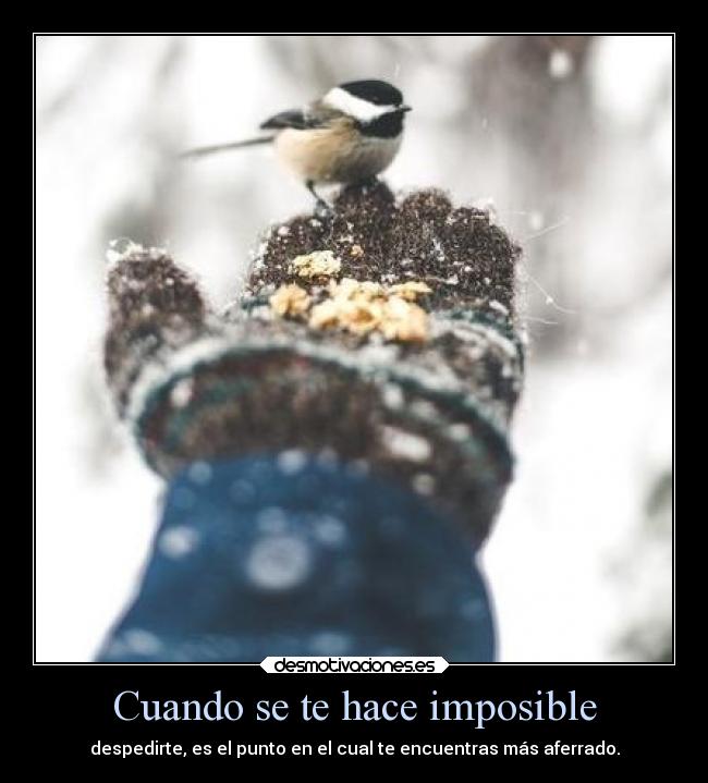 Cuando se te hace imposible - despedirte, es el punto en el cual te encuentras más aferrado.