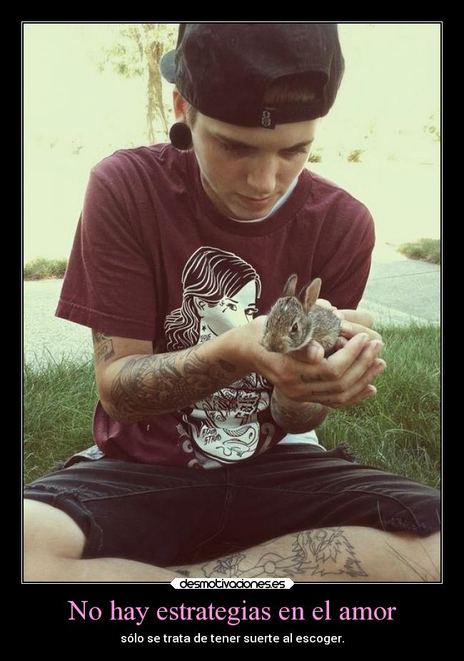 No hay estrategias en el amor - 