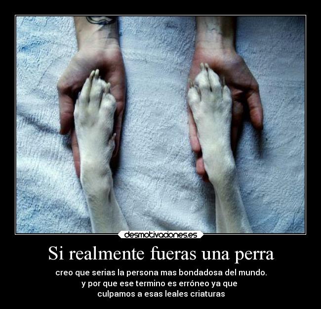 Si realmente fueras una perra - 