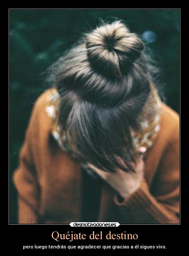 carteles destino destino hace correcto dejate levar por el carlosonestyle desmotivaciones