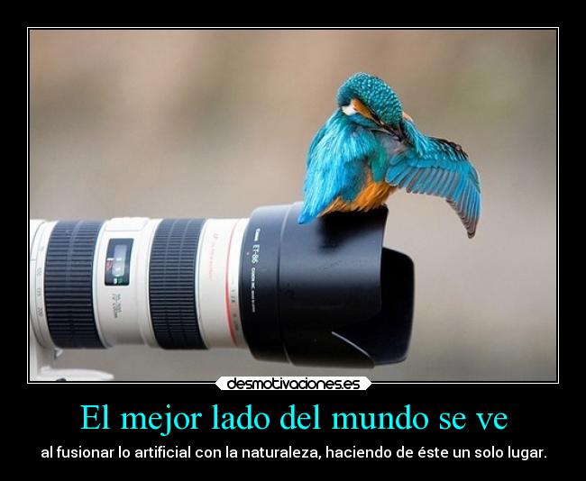 carteles mundo amigos amistad animales ayuda confianza deseos desmotivaciones felicidad mundo desmotivaciones