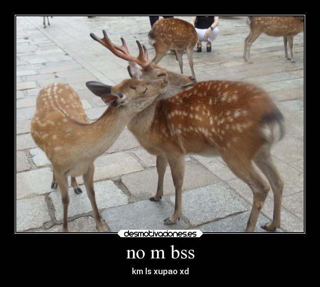 no m bss - 