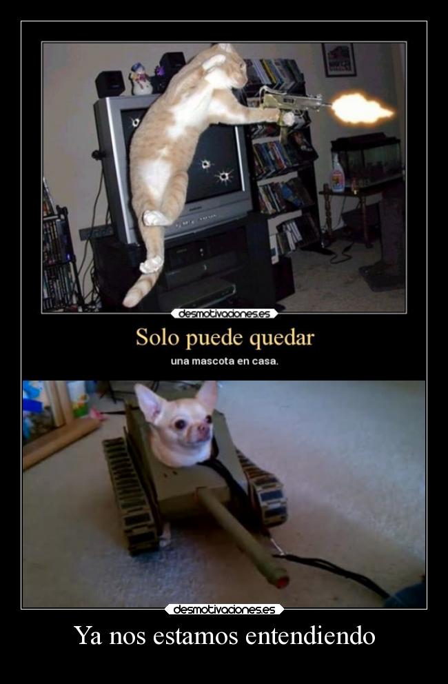 Ya nos estamos entendiendo - 