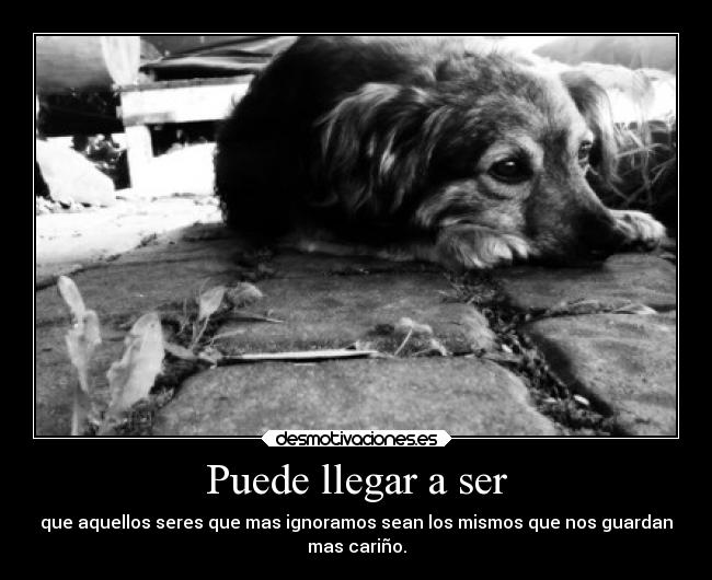 Puede llegar a ser -