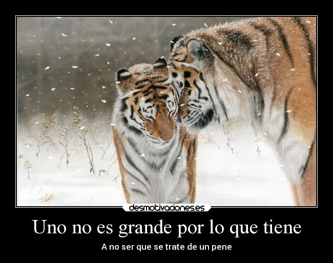 Uno no es grande por lo que tiene - A no ser que se trate de un pene