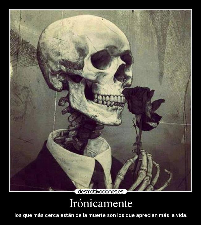 carteles not color desmotivaciones