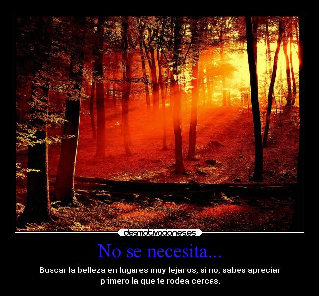 No se necesita... - Buscar la belleza en lugares muy lejanos, si no, sabes apreciar
primero la que te rodea cercas.