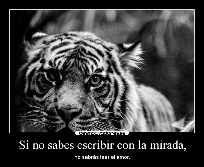 Si no sabes escribir con la mirada, -
