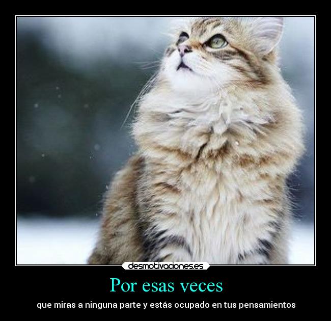 Por esas veces - que miras a ninguna parte y estás ocupado en tus pensamientos