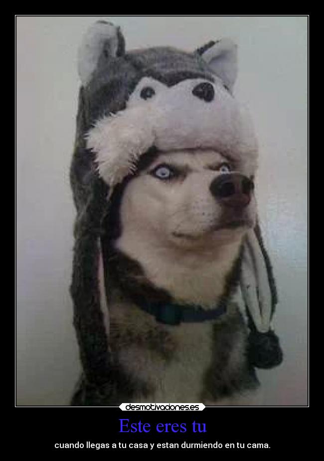 Este eres tu - cuando llegas a tu casa y estan durmiendo en tu cama.