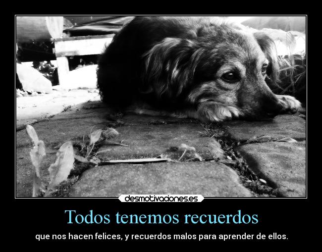 Todos tenemos recuerdos -