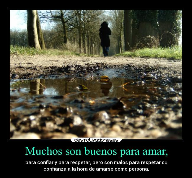 Muchos son buenos para amar, -