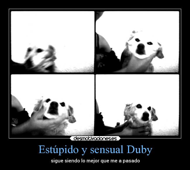 Estúpido y sensual Duby - sigue siendo lo mejor que me a pasado