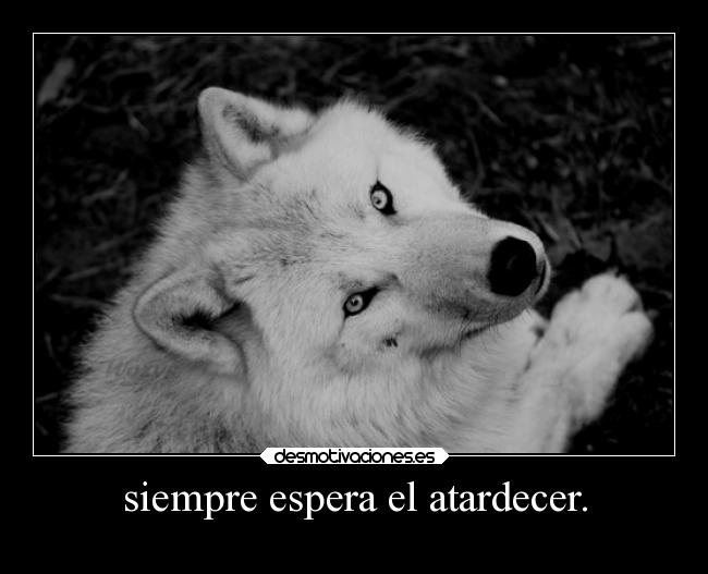 siempre espera el atardecer. -