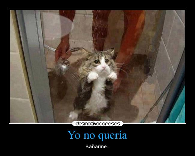 Yo no quería - Bañarme...