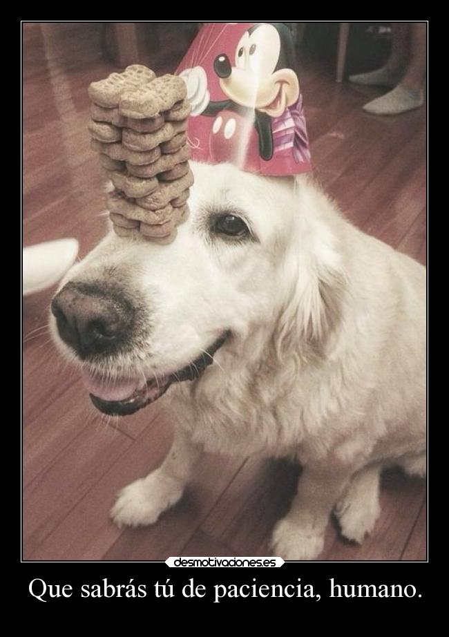 Que sabrás tú de paciencia, humano. -
