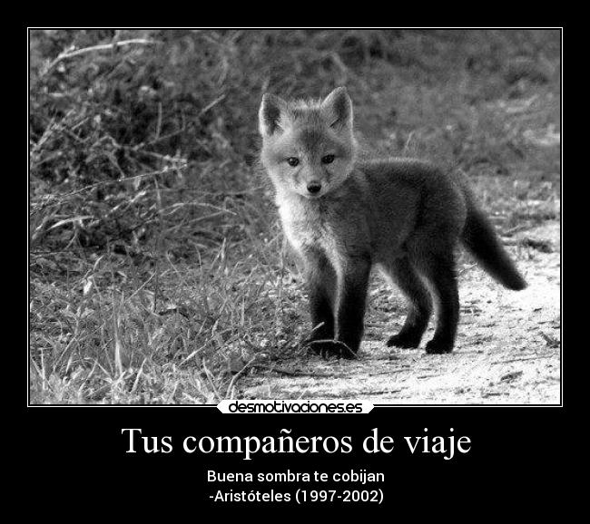 Tus compañeros de viaje - Buena sombra te cobijan
-Aristóteles (1997-2002)