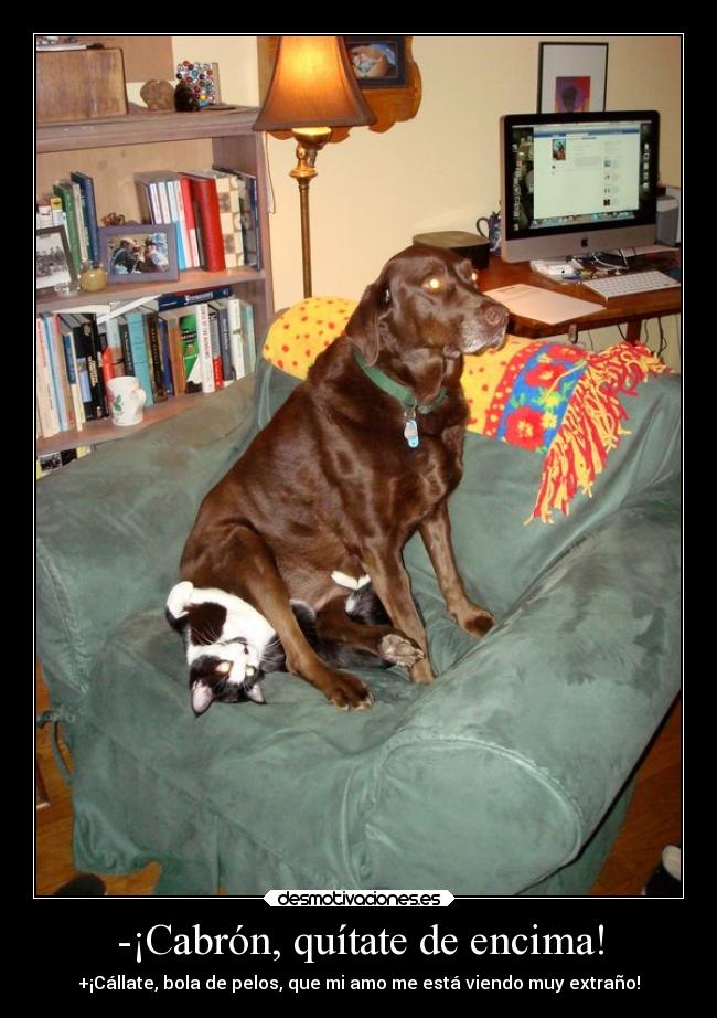 -¡Cabrón, quítate de encima! -