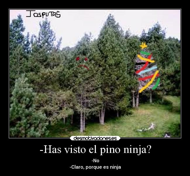 -Has visto el pino ninja? -