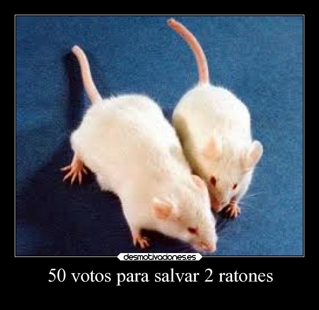 carteles salvemoslos desmotivaciones